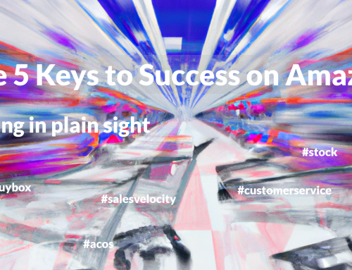 The 5 Keys to Success on Amazon Hiding in Plain Sight